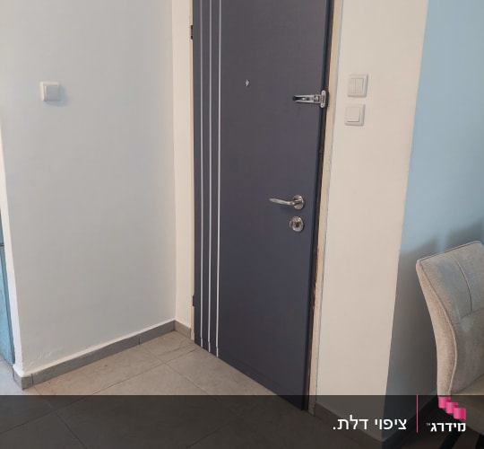 דלת עם ציפוי כהה בחדר פנימי